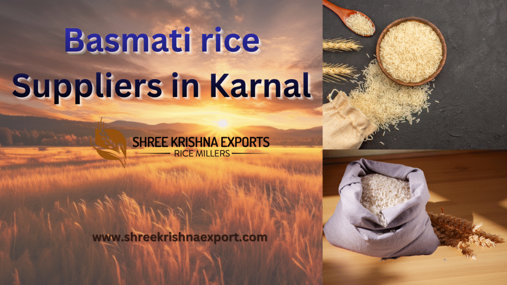 Basmati rice Suppliers in Karnal