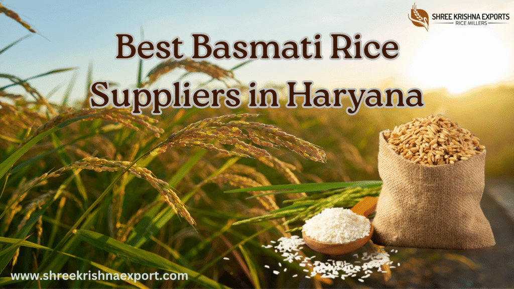 Basmati Rice Suppliers in Haryana