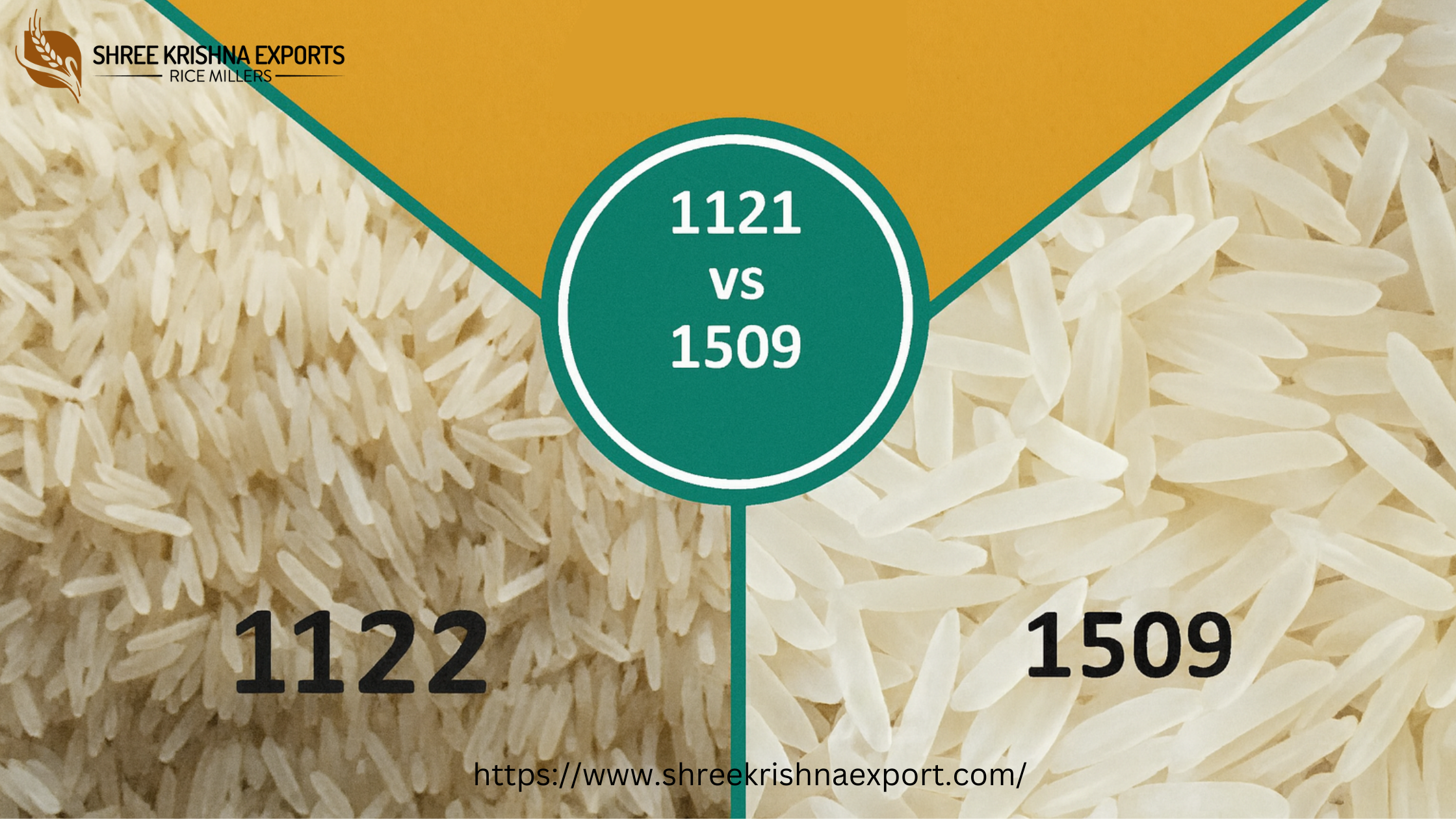 Difference Between: 1121 Basmati Rice VS 1509 Basmati Rice