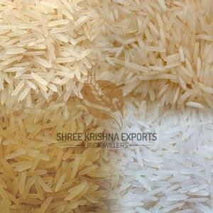 Basmati 1509 Rice