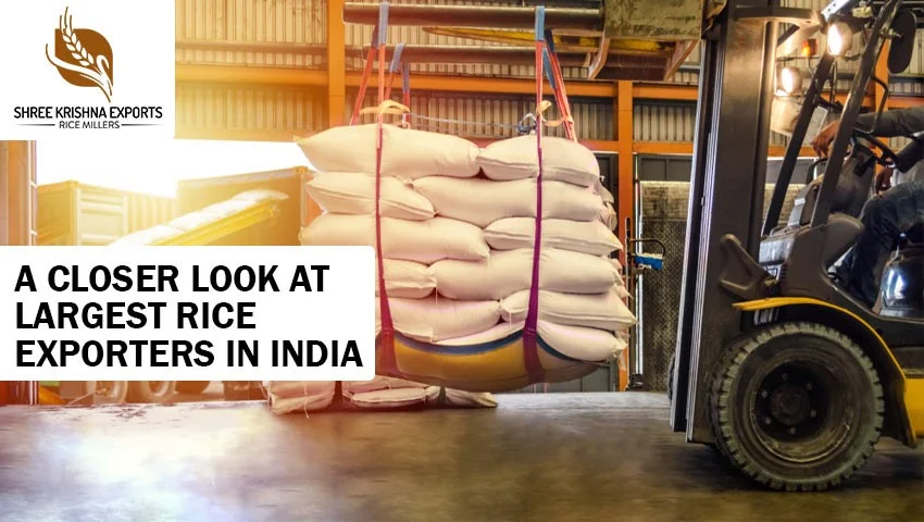 Largest Rice Exporters in India