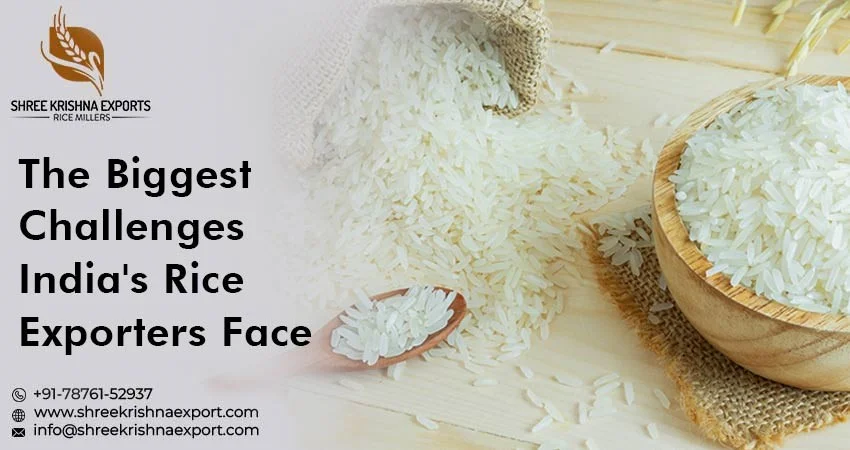 Rice Exporters