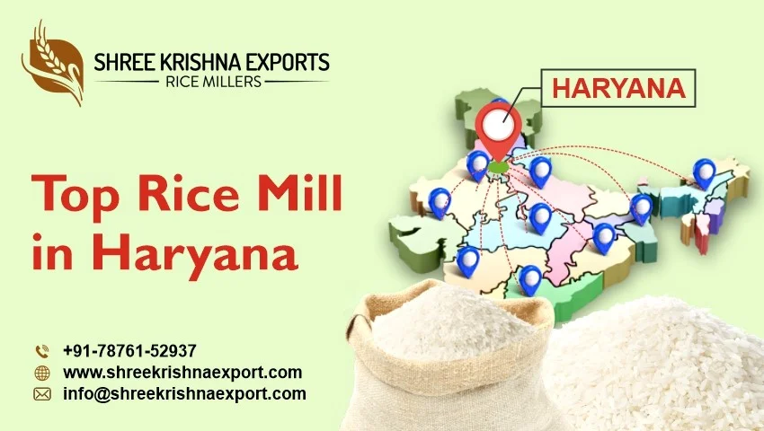 Top Rice Mill in Haryana