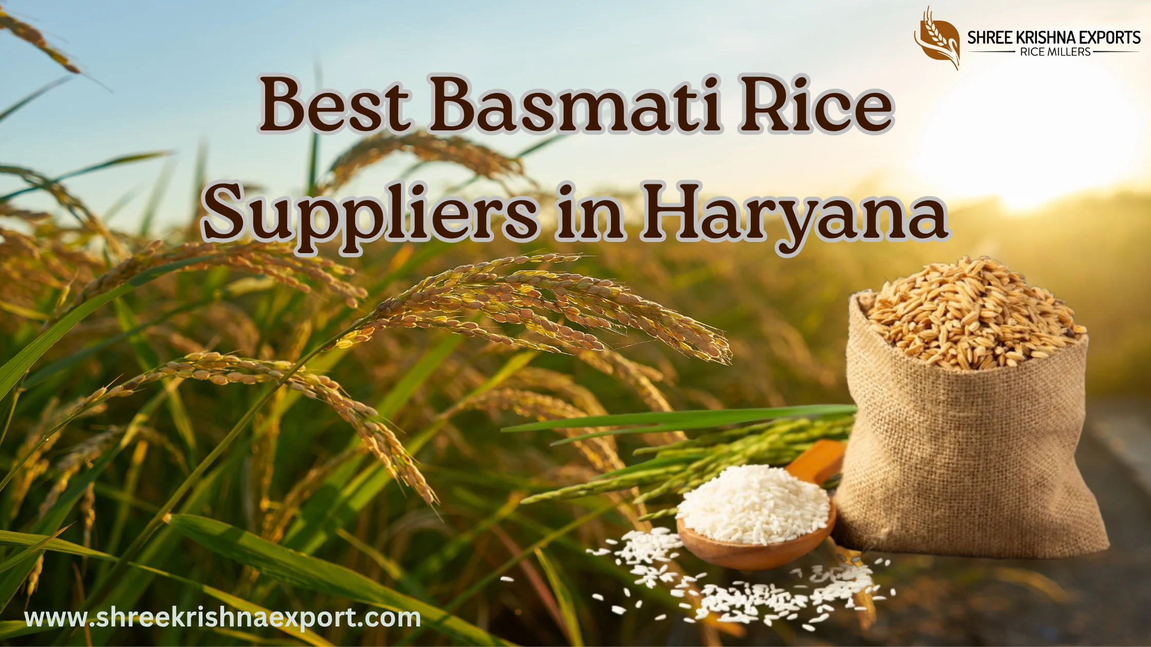 Basmati Rice Suppliers in Haryana