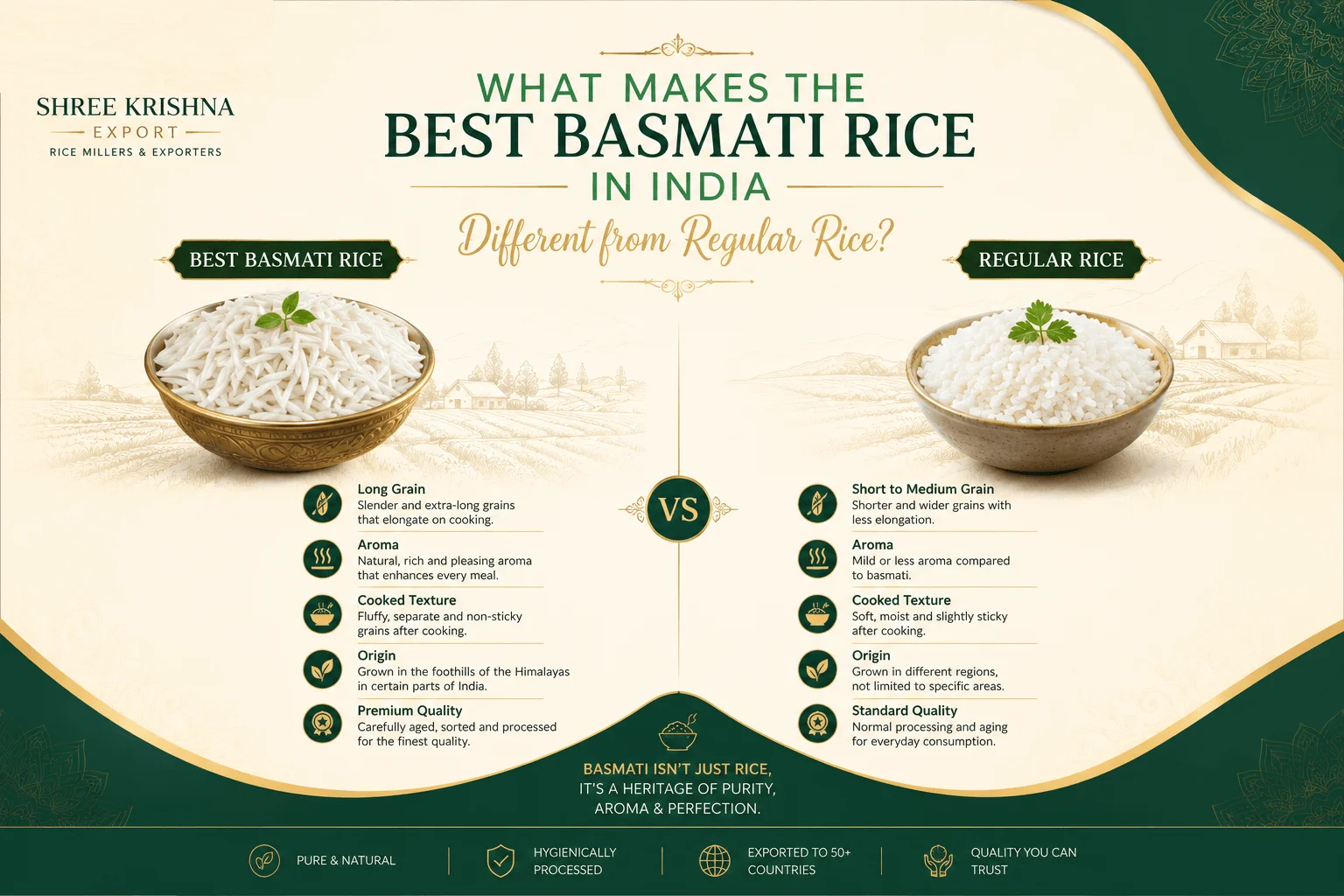 What Makes the Best Basmati Rice in India Different from Regular Rice?